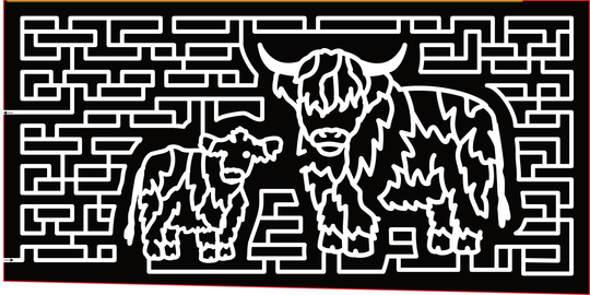 23_VA_Virginia Beach Cow, Scottish Highlander