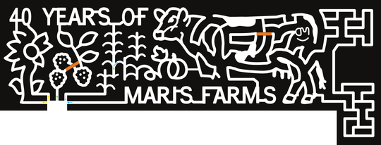 23_WA_Buckley 40 Years of Maris Farms, Cow, CM, Pumpkin, Corn, Berry, Sunflower