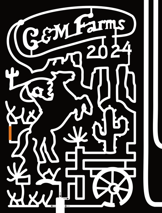 24_CA_Livermore 2024, G & M Farms, Cactus, Horse, Wheel, Desert, Lasso