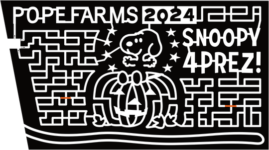 24_CO_Wiggins Snoopy, 2024, Snoopy 4 Prez, Pumpkin, Pope Farms, Star