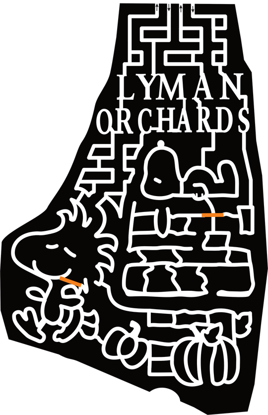 24_CO_MiddleField Lyman Orchards, Snoopy, Woodstock, Pumpkin