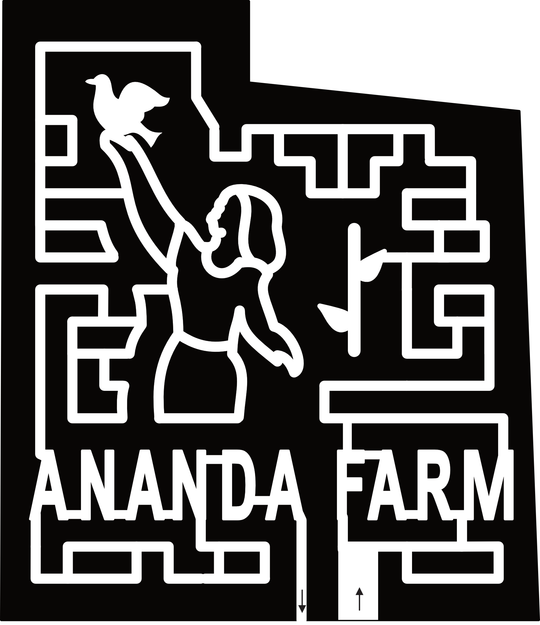 24_FL_Terra Ceia Dove, Ananda Farm, Person, Woman