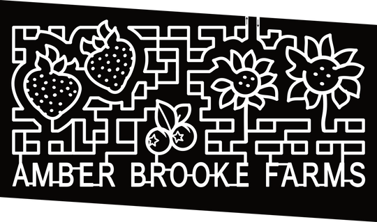 24_FL_Williston Amber Brooke Farms, Berry, Sunflower, Strawberry, Blueberry