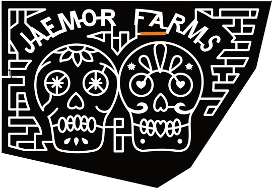 24_GA_Alto Jaemor Farms, Skull, Day of Dead, Sugar Skull