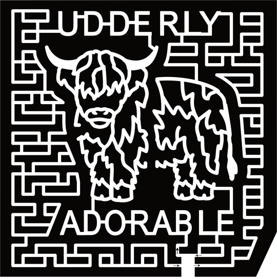 24_NC_Shelby Udderly Adorable, Highland Cow