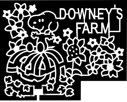 24_ONT_Caledon Snoopy, Downeys Farm, Pumpkin, Flower