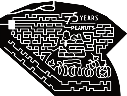 24_UT_Bluebell, Snoopy, Peanuts, 75 Years, Pumpkin