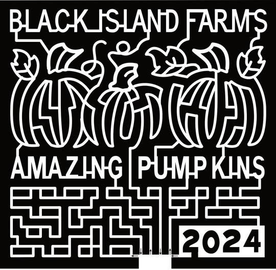 24_UT_Layton, Black Island Farms, Amazing Pumpkins, 2024, Pumpkin
