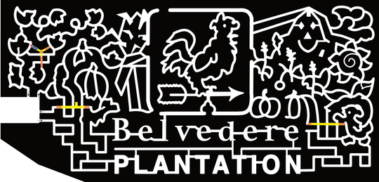 24_VA_Fredericksburg, Belvedere Plantation, Chicken, Rooster, Arrow, Pumpkin,