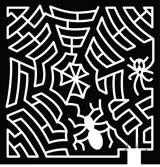 24_WI_Fond Du Lac, Spider Web, Spider