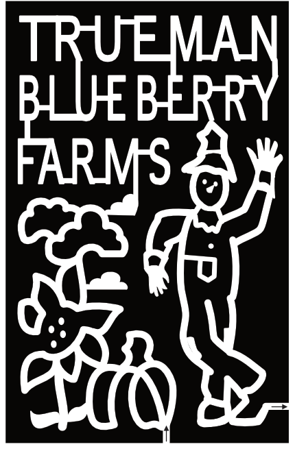24_NB_Aulac Trueman Blueberry Farms, Scarecrow, Cloud, Flower, Pumpkin