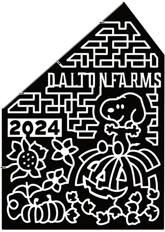 24_NJ_Township Snoopy, 2024, Sunflower, Pumpkin, Dalton Farms