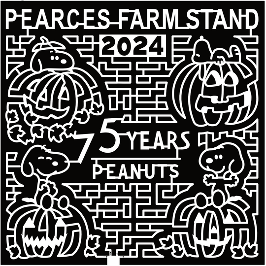 24_WI_Walworth, Snoopy, Peanuts, 75 Years, 2024, Pumpkin, Pearces Farm Stand, Leaves