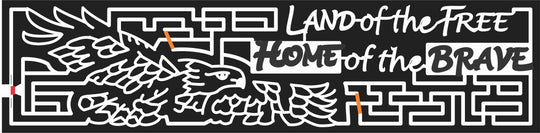 08_WA_Buckley washington, Eagle, Wings, Animal, Bird, soar, 2008, Patriotic.jpg