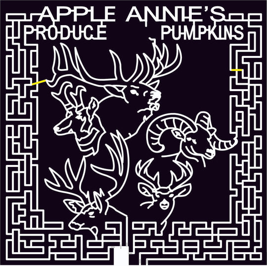 09_AZ_Wilcox Arizona, Animal, Deer, elk, mountain goat, wildlife, 2009