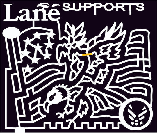 09_GA_FortValley Georgia, Eagle, Flag, America, American, Stars, 2009, lane, logo