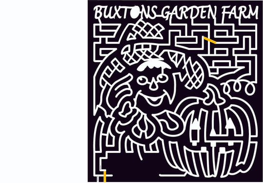 09_IL_Sullivan Scarecrow, Pumpkin, jack o'lantern, Illinois, 2009