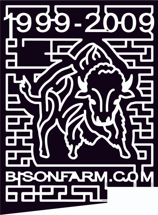 09_KS_Assaria Kansas, Animal, bison, 2009,