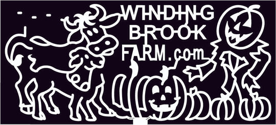 09_PA_Warrington Cow, calf, Pumpkin, jack o'lantern, Pennsylvania, Animal, 2009