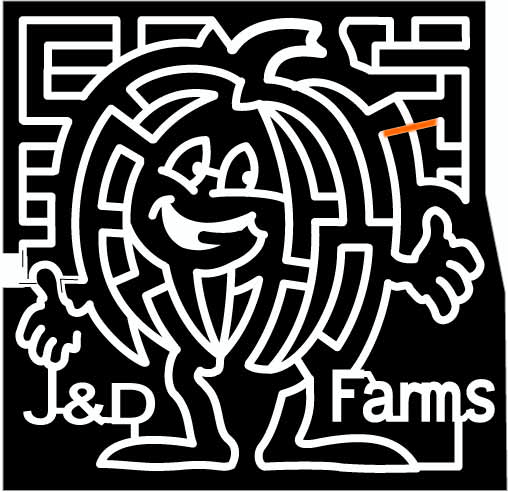 09_RI_Johnston Rhode Island, Pumpkin, jack o'lantern, 2009