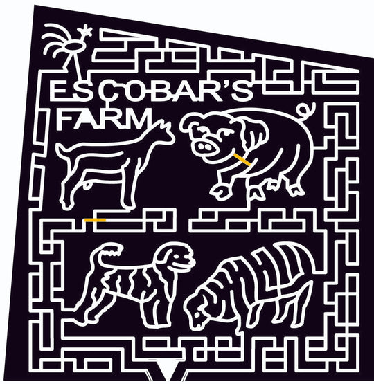 09_RI_Portsmouth Rooster, Pig, Dog, goat, Cat, Animal, Rhode Island, Chicken, 2009