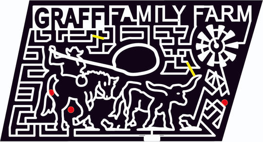 09_TX_Hondo Texas, Windmill, rodeo, Horse, Bull, Cowboy, Rope, Horns, 2009, graff