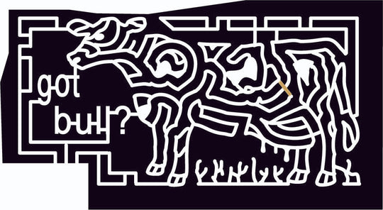 09_VT_Guilford Cow, Animal, Bull, Vermont, 2009, Grass