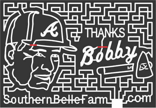 10_GA_McDonough 2010, Baseball, Person, Bobby, ax, braves, Atlanta, People, paths, Georgia, sports