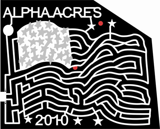 10_NC_Yandkinsville 2010, America, American, Flag, pole, wave, Patriotic, North Carolina