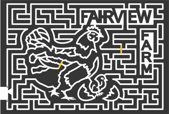 10_NY_Bridgehampton 2010, Chicken, Chick, Egg, Hatched, Cracked, fairview, farm, Animal, New York, cracked,