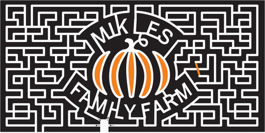 10_OK_Shawnee 2010, Pumpkin, Oklahoma, farm, orange