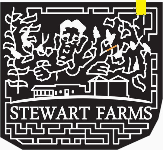 10_SC_Enoree_B Corn, Barn, 2010, Stalk, Building, farms, South Carolina, Stewart