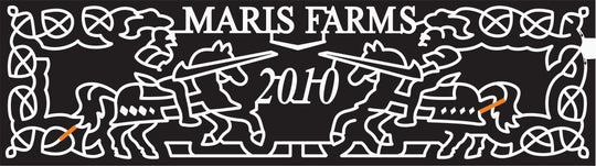 10_WA_Buckely 2010, Sword, Animal, Knight, Horse, Royalty, Helmet, Armor, Tail, Maris, washington, mid, evil