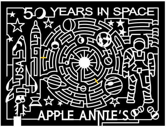 11_AZ_Wilcox Arizona, astronaut, Space, star, planet, rocket, Sun, 2011, USA, Planets.jpg