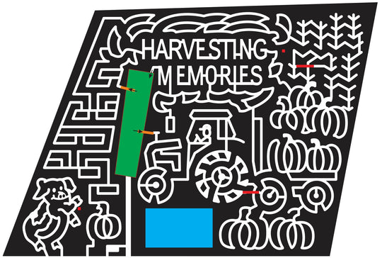 11_GA_Watkinsville Tractor, Pig, Corn, Wagon, Georgia, 2011, memories, Stalk, Hog.jpg