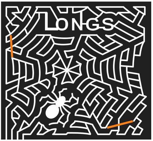 11_MI_Commerce Michigan, Spider, spiderweb, Halloween, 2011, web, longs.jpg