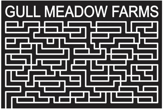 11_MI_Richland_1 Michigan, paths, lines, straight, 2011.jpg