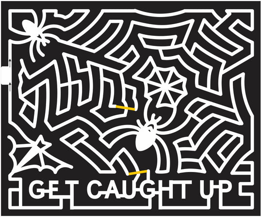 11_MN_Delano Minnesota, spiderweb, Spider, bat, caught, web, 2011, Halloween.jpg