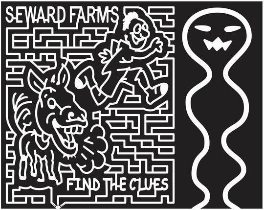 11_MS_Lucedale Mississippi, donkey, Animal, Ghost, ghost maze, Man, run, Person, seward, 2011, clues.jpg