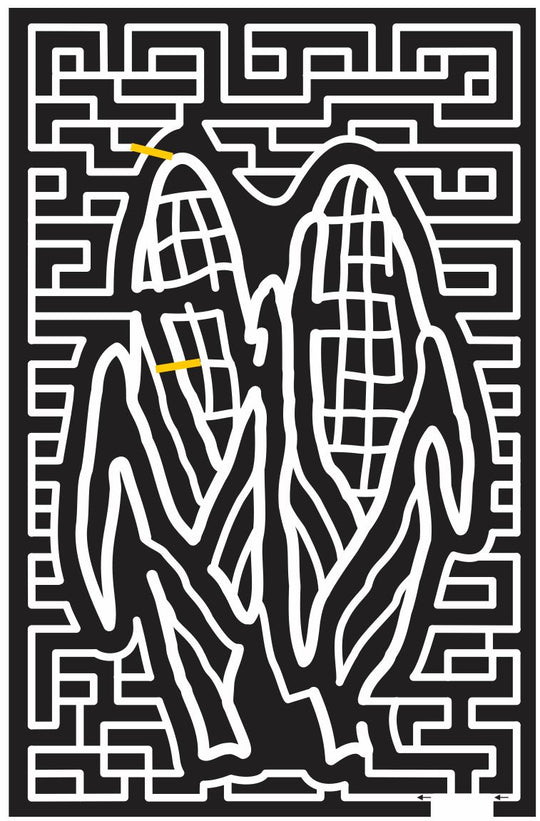 11_NY_Bridgehampton New York, Corn, Vegetable, cob, 2011.jpg