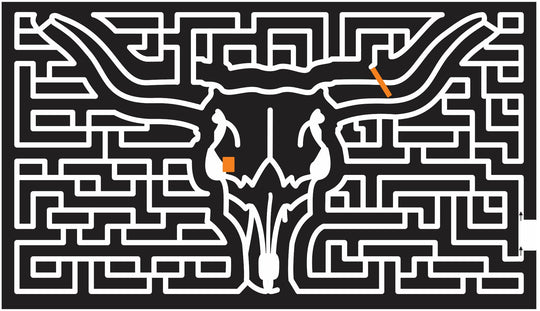 11_PA_Marlboro_Valley_Kennett_Square Pennsylvania, Bull, Animal, antler, 2011, Horns.jpg