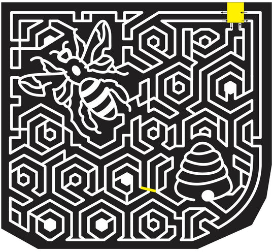 11_SC_Enoree South Carolina, beehive, Bee, insect, honeycomb, combs, 2011.jpg