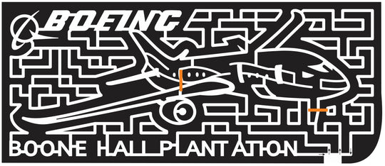 11_SC_Mount_Pleasant South Carolina, airplane, plane, aviation, flight, jet, boeing, 2011, boone, hall.jpg