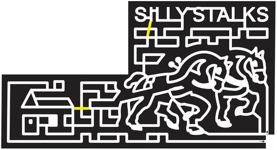 11_SC_Swansea South Carolina, Horse, carriage, House, 2011.jpg