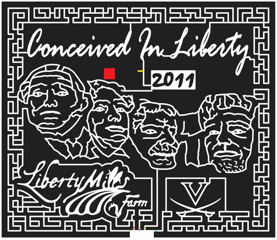 11_VA_Somerset Virginia, president, washington, roosevelt, Lincoln, Sword, presidents, Jefferson, Liberty, mills, famous, history, 2011, mount rushmore.jpg