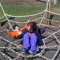 Spider Web - The MAiZE