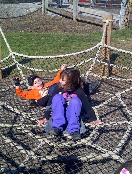 Spider Web - The MAiZE