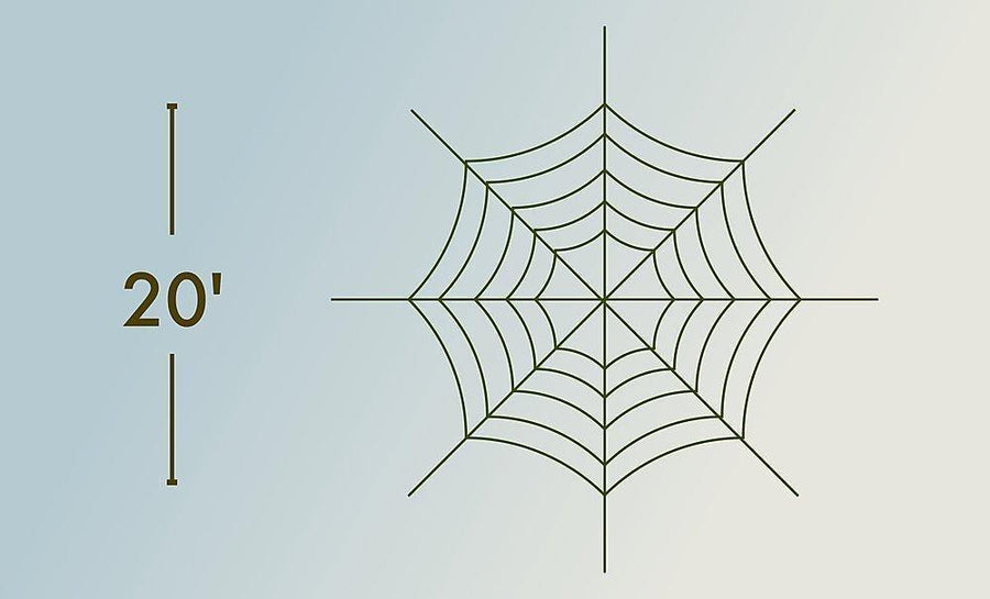 Spider Web - The MAiZE