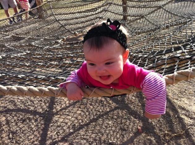 Spider Web - The MAiZE