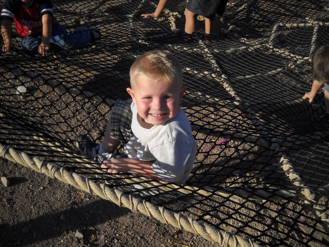 Spider Web - The MAiZE